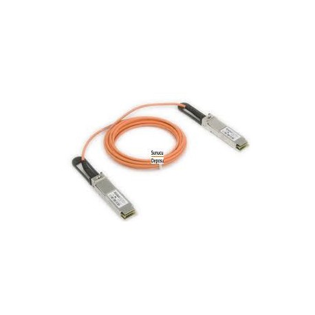 CBL-NTWK-0892-OPF30 CBL-NTWK-0892-OPF30
