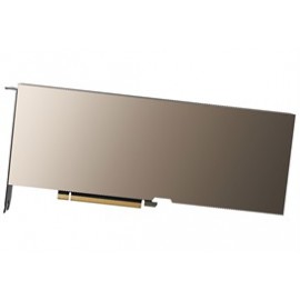 PNY NVIDIA A100 40GB CoWoS HBM2 PCIe 4.0