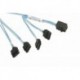 CBL-SAST-1036-2